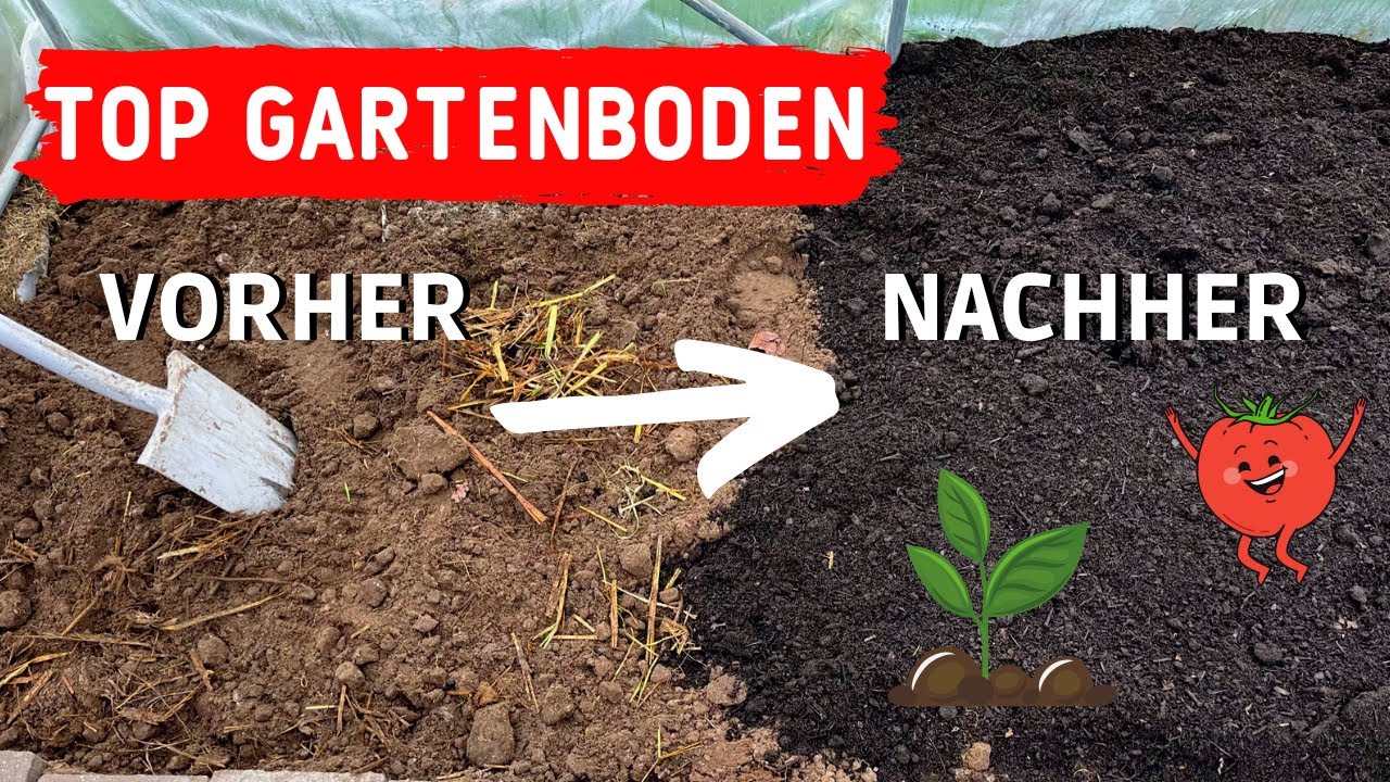 Gartenboden verbessern für eine reiche Ernte 🧑🏻‍🌾