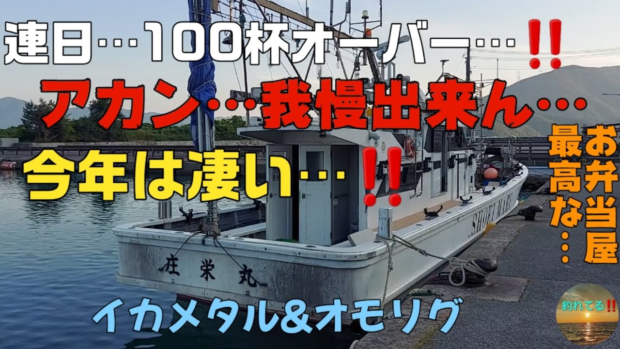 2024年6月中旬…連日【スルメイカ】100杯オーバーの若狭湾で…簡単に釣れるのか…【庄栄丸】さんで確認して来ました…道中に最高なお弁当屋さんも紹介しております