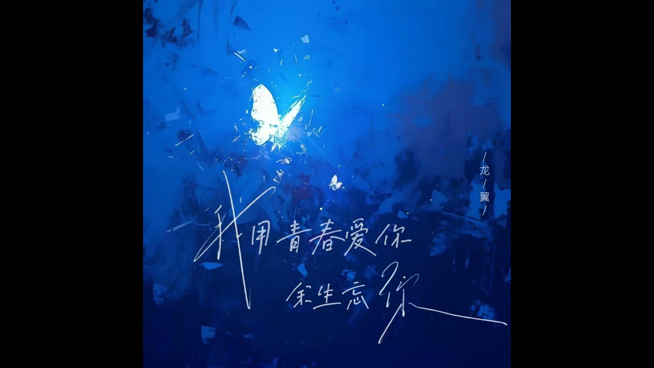 我用青春爱你余生忘你 (合唱版)
