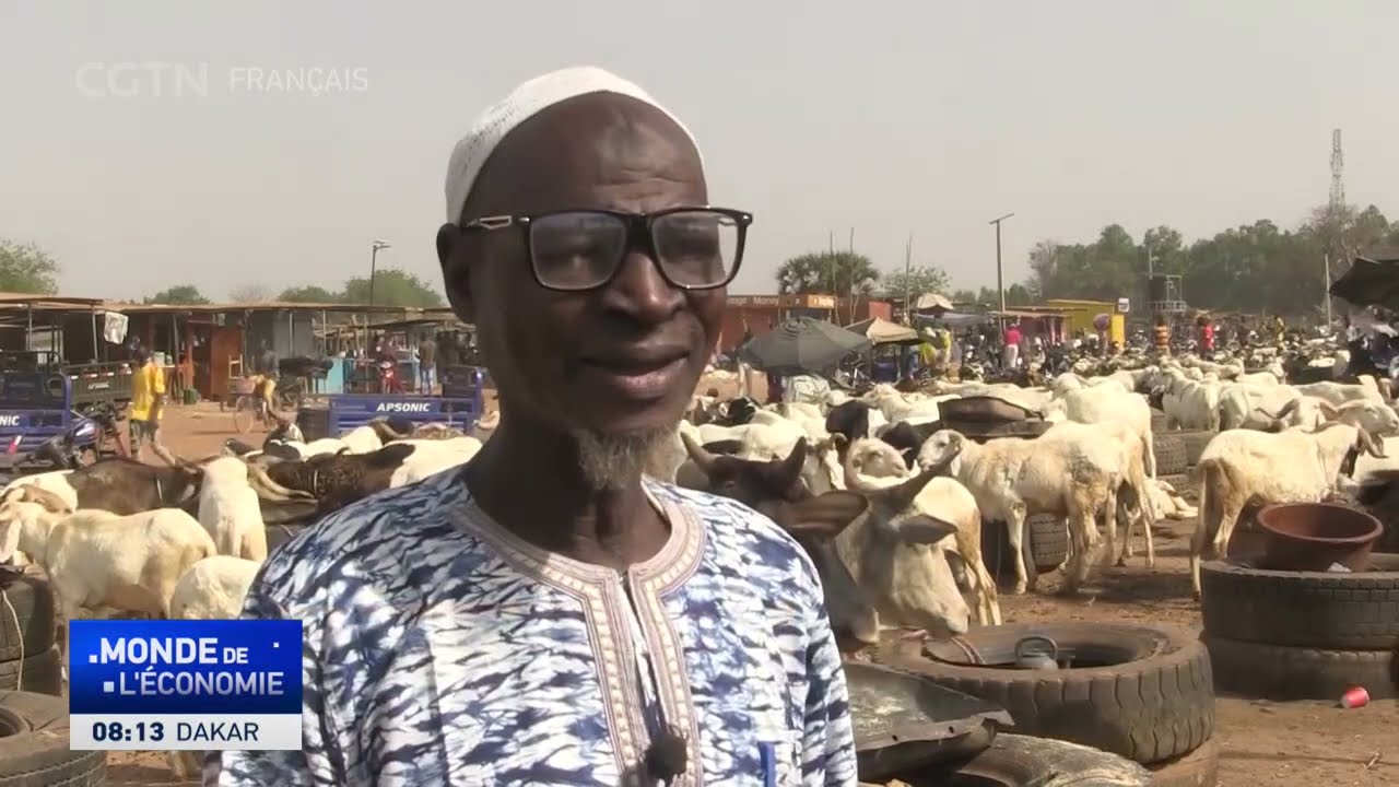 Burkina Faso : la filière de vente de bétail fortement menacée, les autorités interviennent