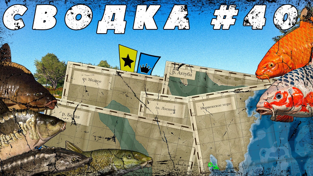 СВОДКА ПО ВОДОЁМАМ №40 | ФАРМ СЕРЕБРА И РАЗДАЧА ТРОФЕЕВ НА МЕДНОМ