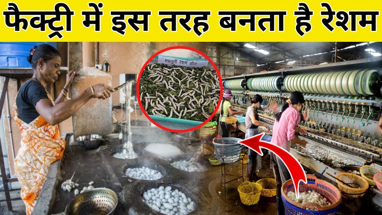 फैक्ट्रियों में कैसे बनता है कीड़ों से रेशम || Silk Manufacturing Process in Factory in Hindi