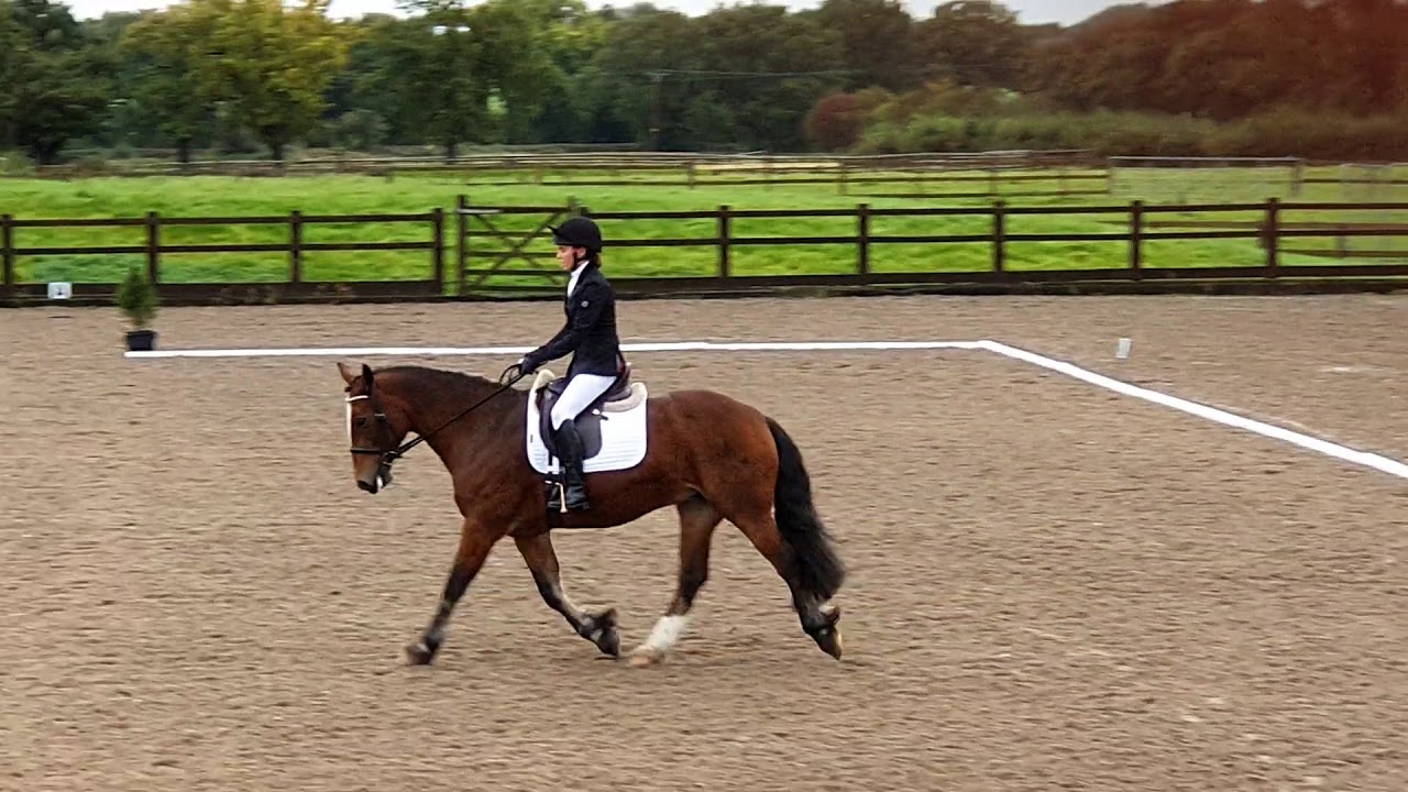 Prelim 18 (2002 r2016)