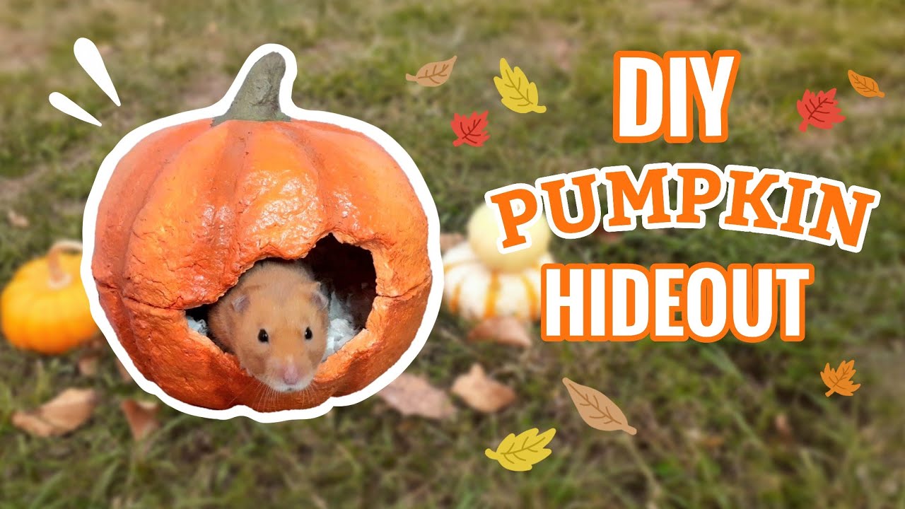 DIY Paper Clay Pumpkin Hideout For Small Animals