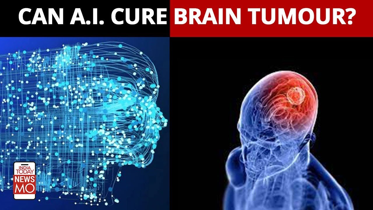Harvard Medical School | A.I. Makes Breakthrough; New Tech Helps Detect Brain Tumour