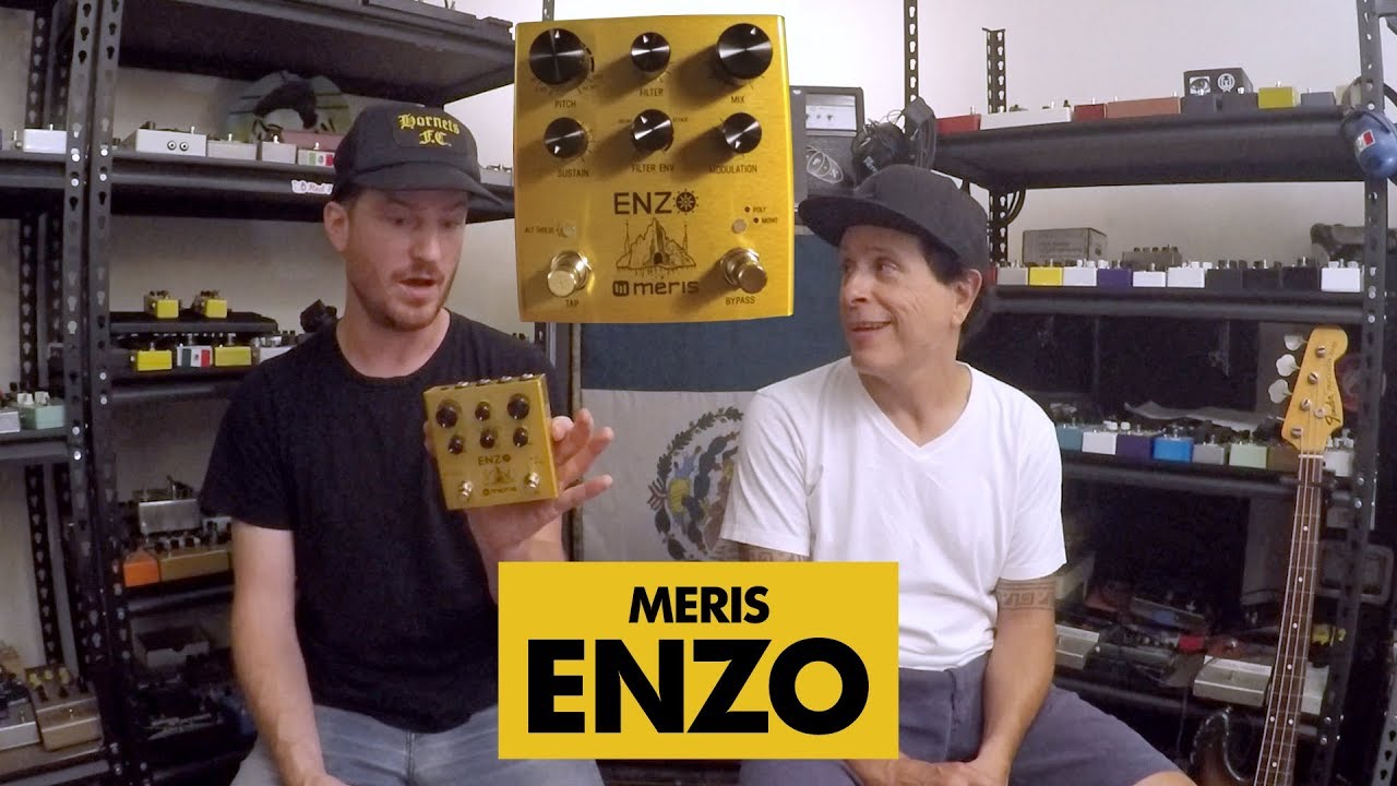 Pedals and Effects: Enzo by Meris