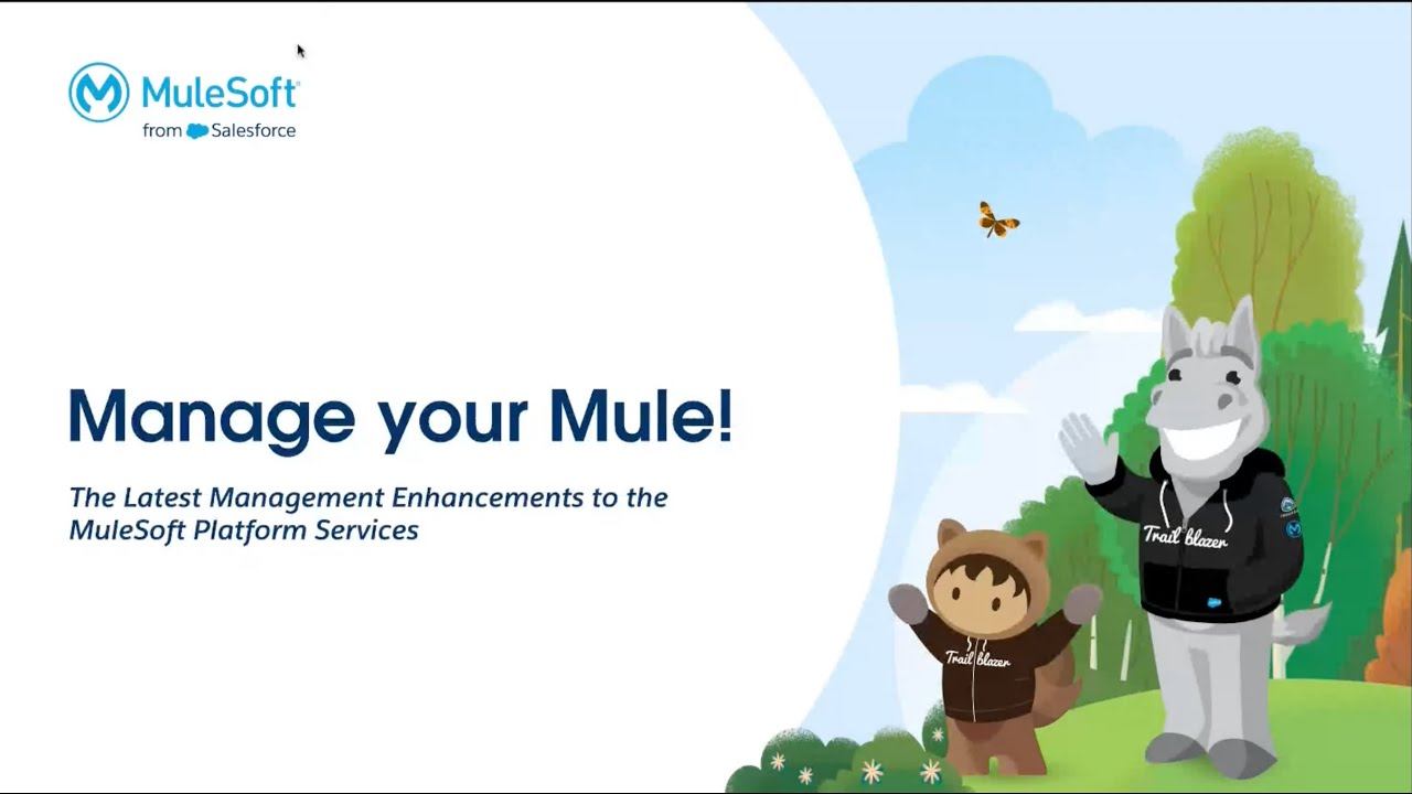 VirtualMuleys 82 - Manage your Mule! The Latest Enhancements to the MuleSoft Platform Services