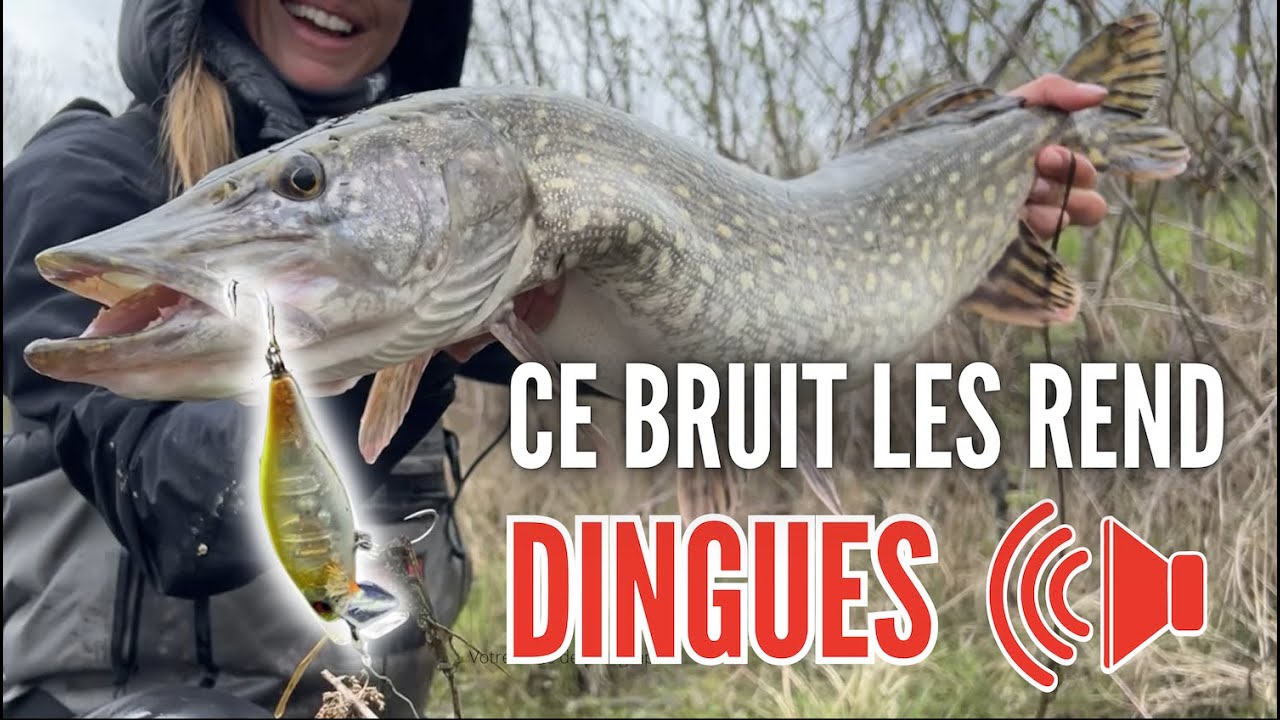 Un leurre BRUYANT pour pêcher le BROCHET en ÉTANG ! 🔊