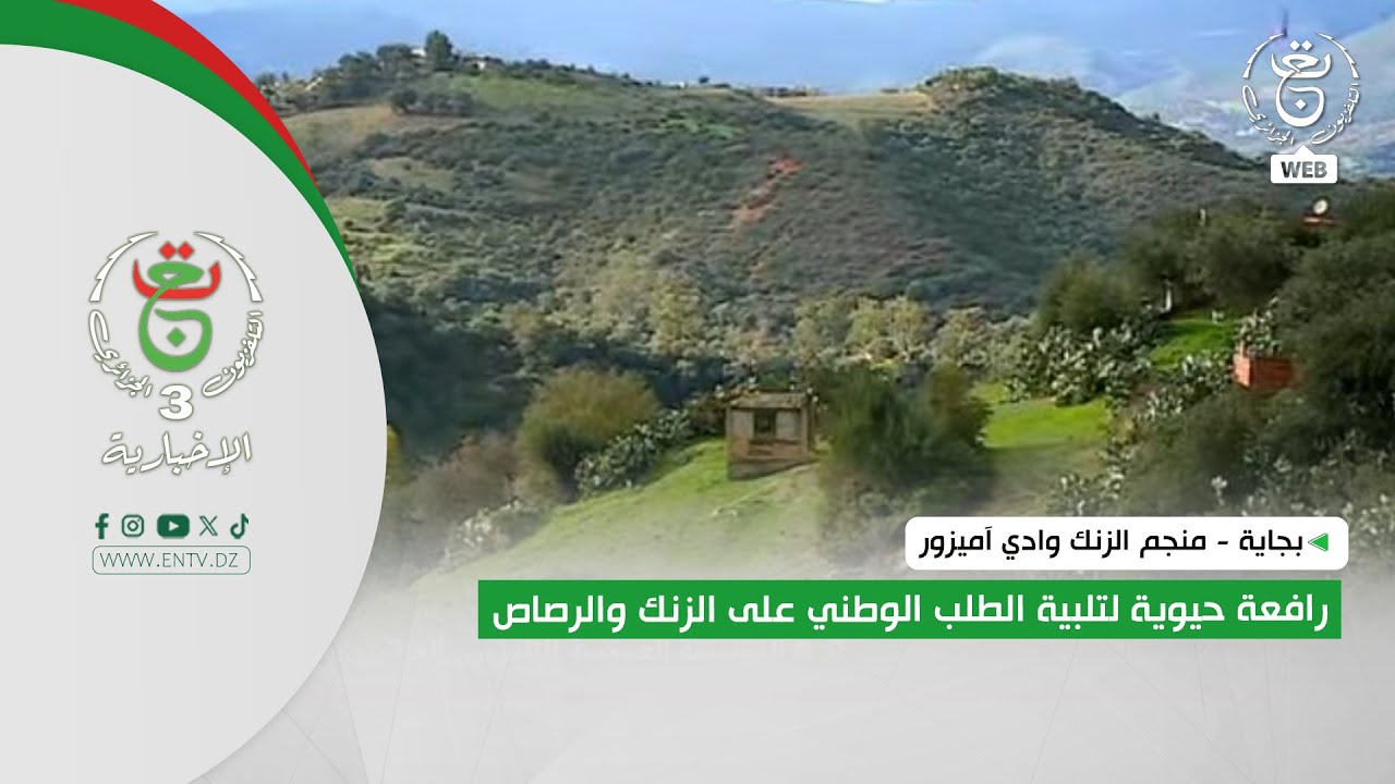 بجاية - منجم الزنك وادي آميزور | رافعة حيوية لتلبية الطلب الوطني على الزنك والرصاص