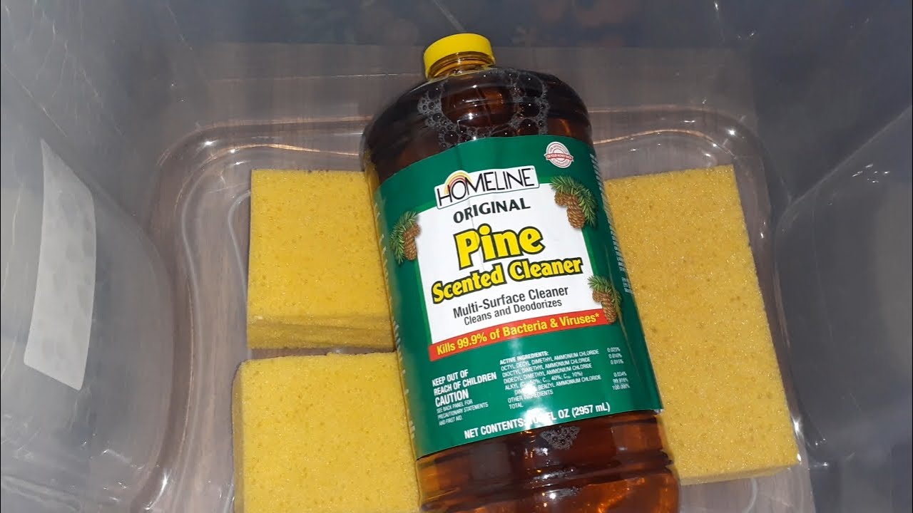 Big Jug Homeline Pine Scented Cleaner!!!
