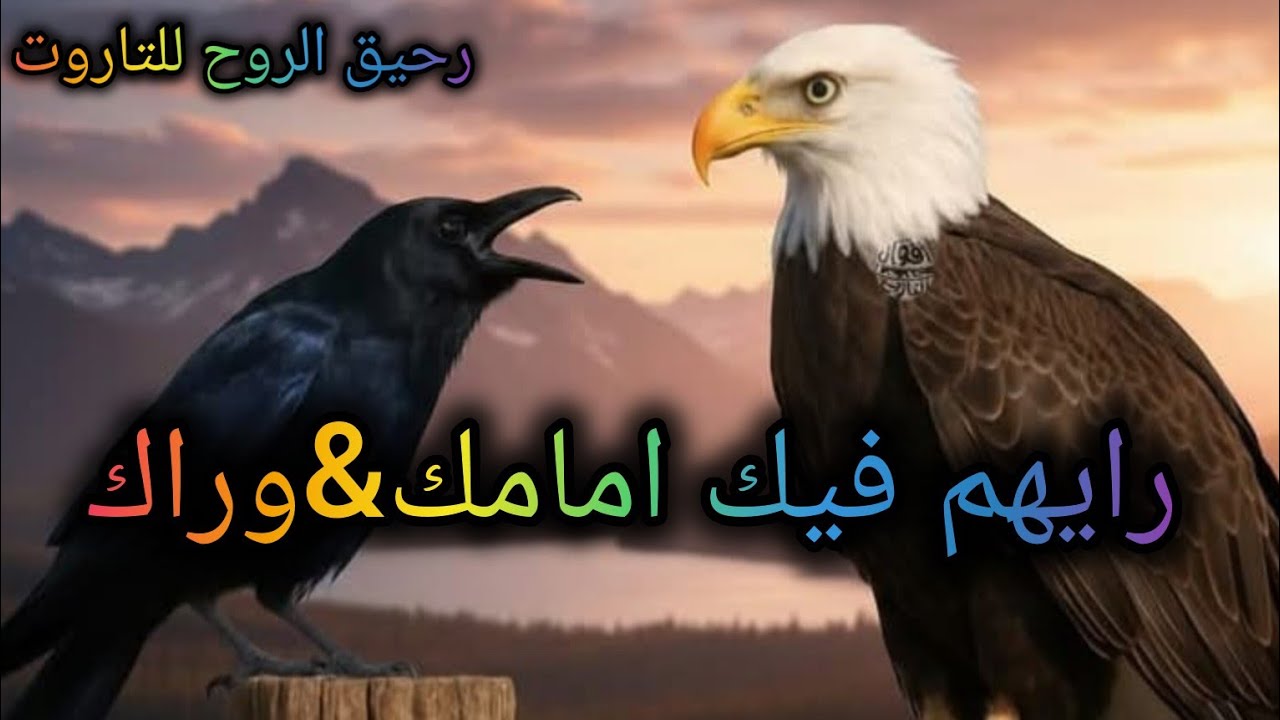بدأت قناة 