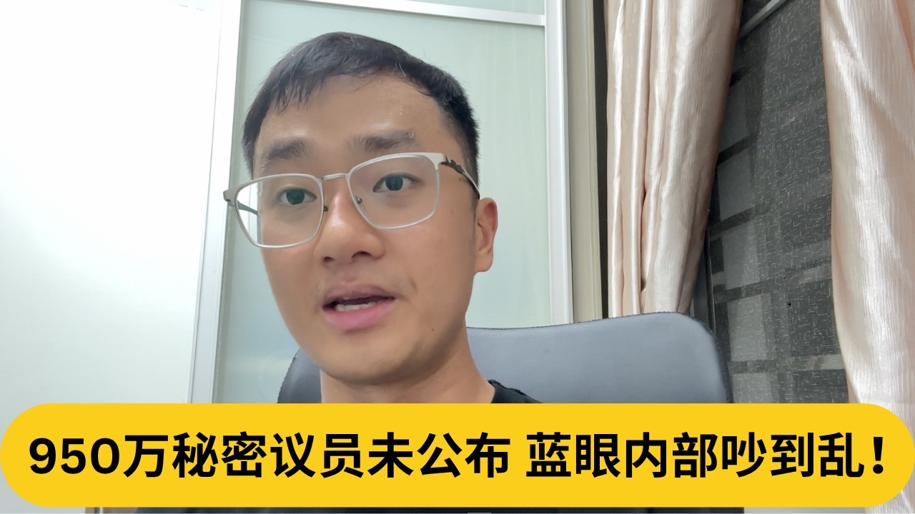 谁是Mr R！？950万秘密议员未公布，蓝眼内部吵到乱！｜阿耀闲聊政治