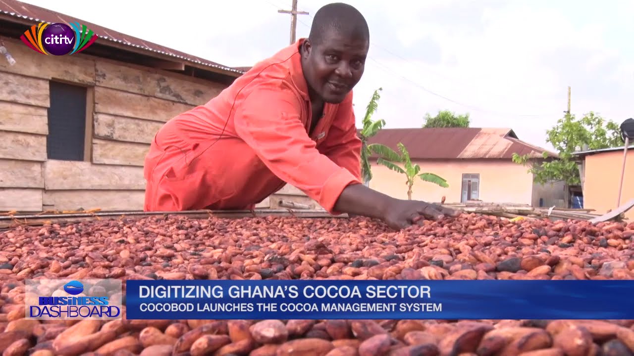 COCOBOD launches Cocoa Management System
