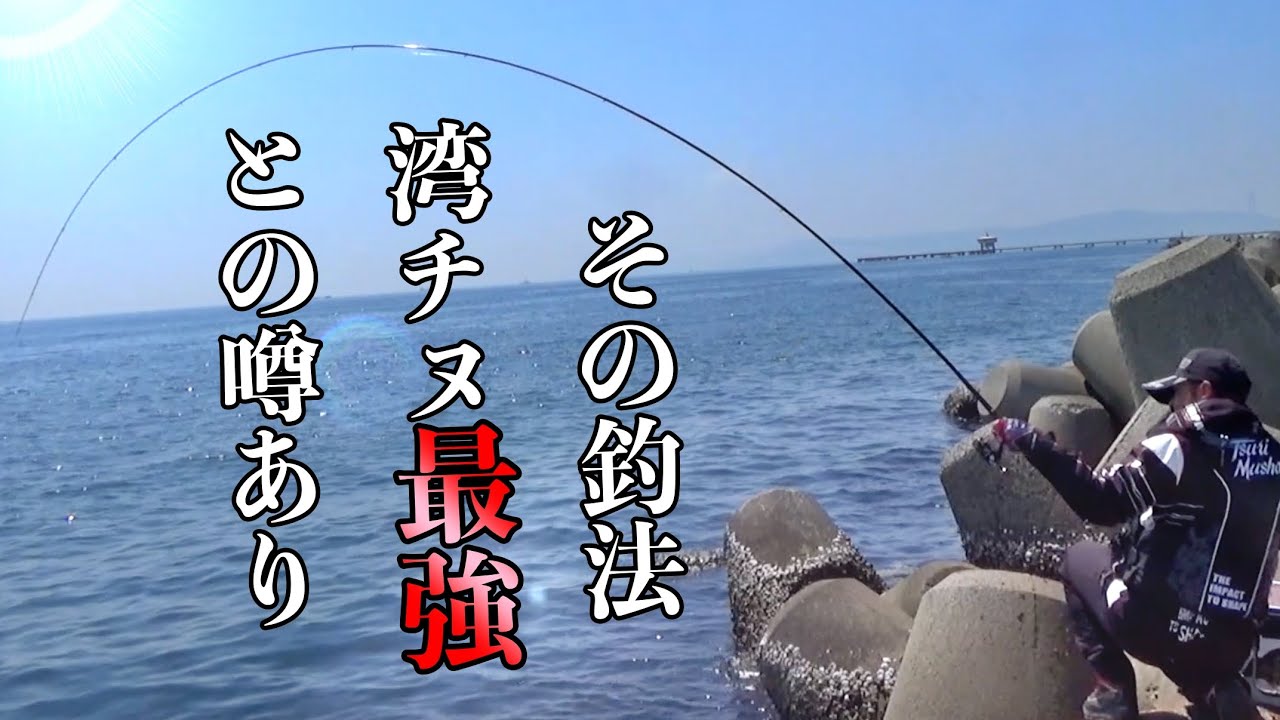 [湾チヌ最強!?] 000全遊動強制沈めで春の乗っ込み調査! [須磨浦一文字][フカセ釣り]