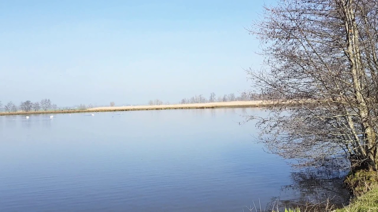 Mooi Willeskop!