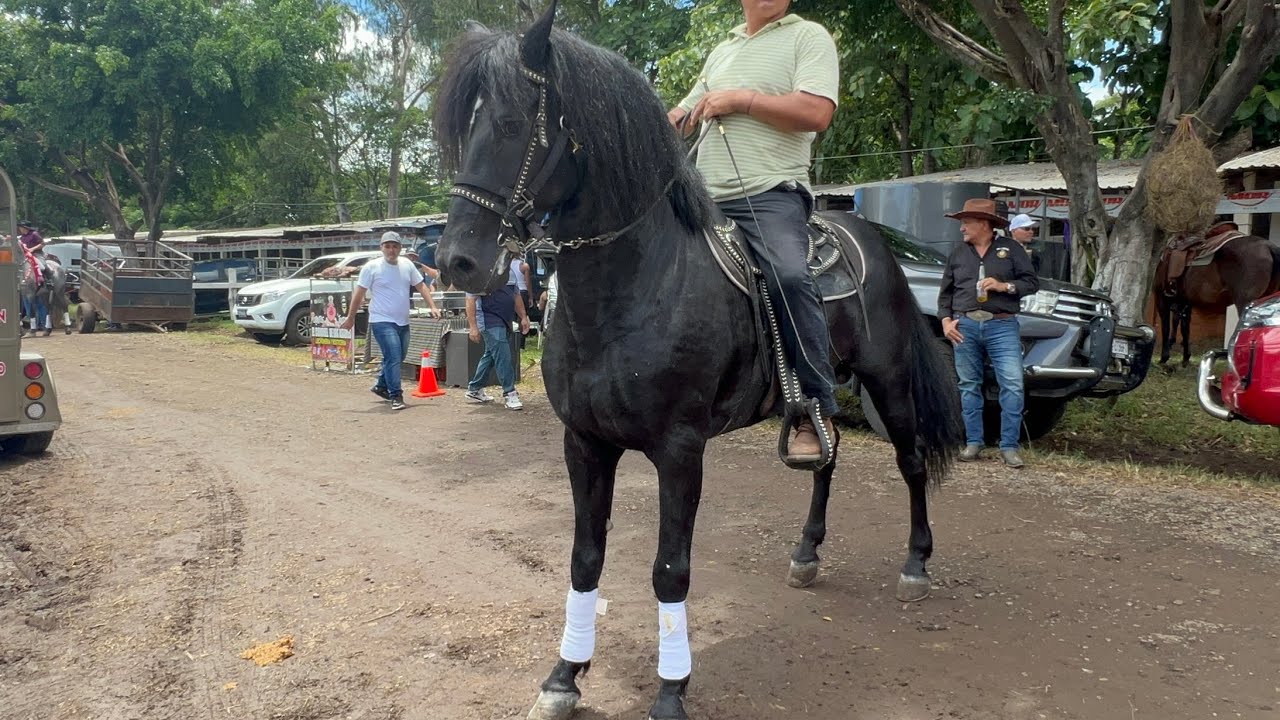 Feria ganadera 2024 # 1 El Salvador 🇸🇻