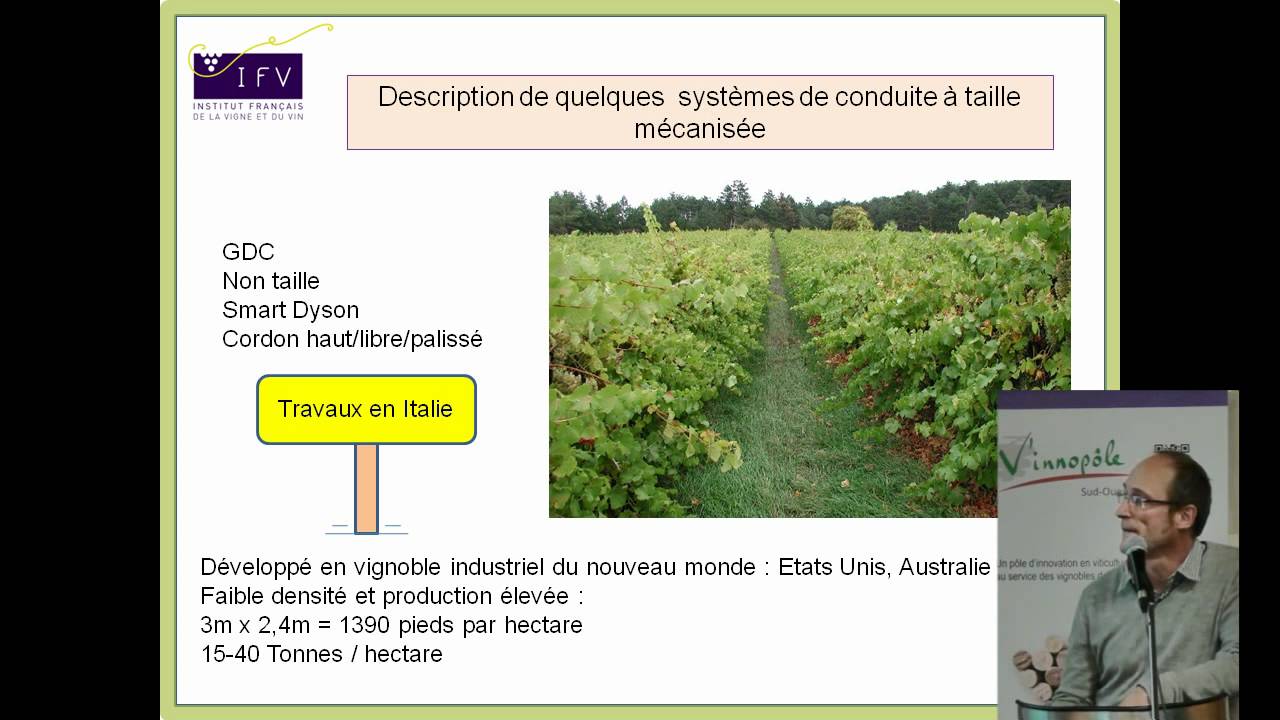 Les systèmes de conduite de la vigne à taille mécanisée par Thierry Dufourcq (IFV Sud-Ouest)