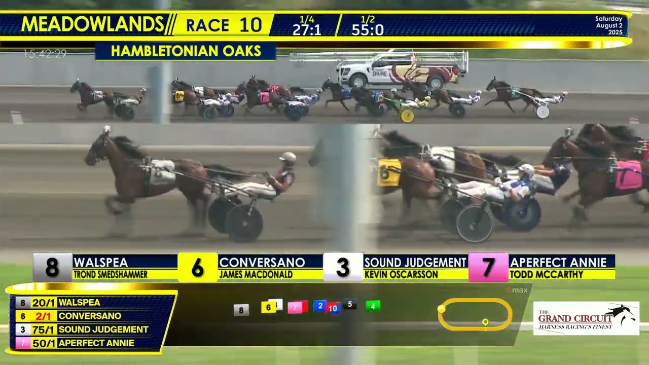 August 2, 2025 - Hambletonian Oaks - Race 10