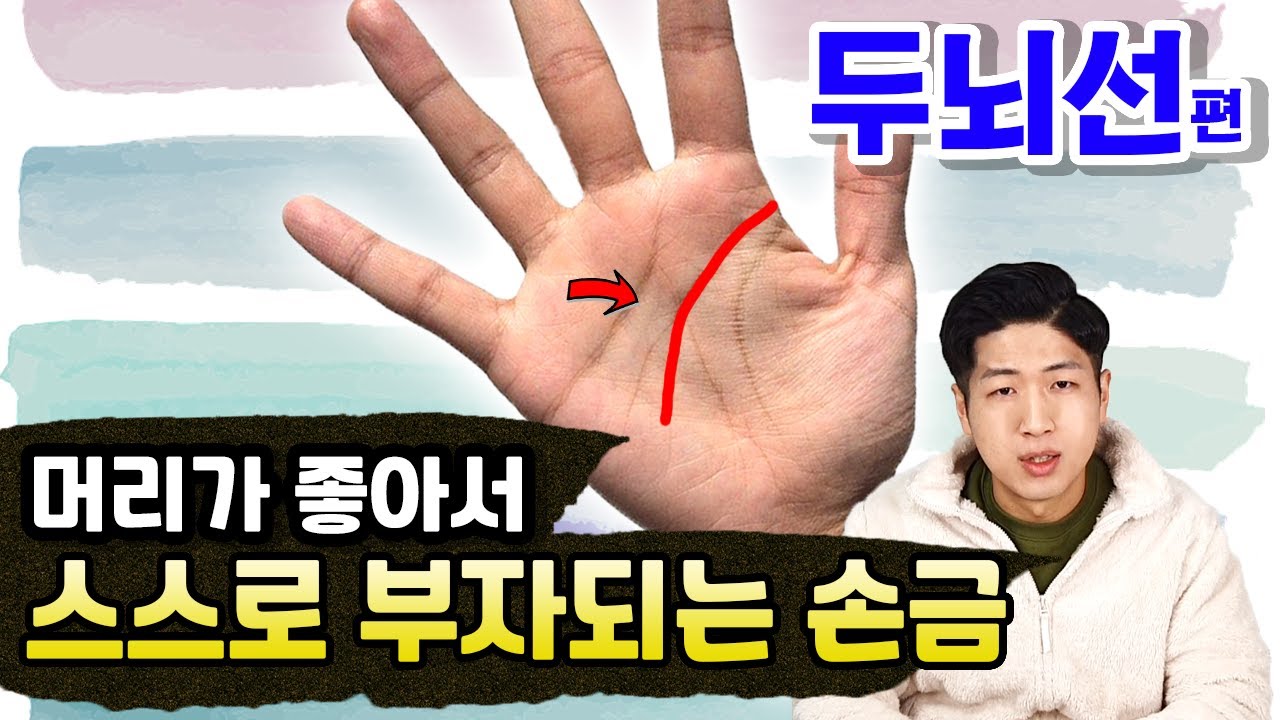 나는 자수성가 할수있을까? Feat 손금보는법