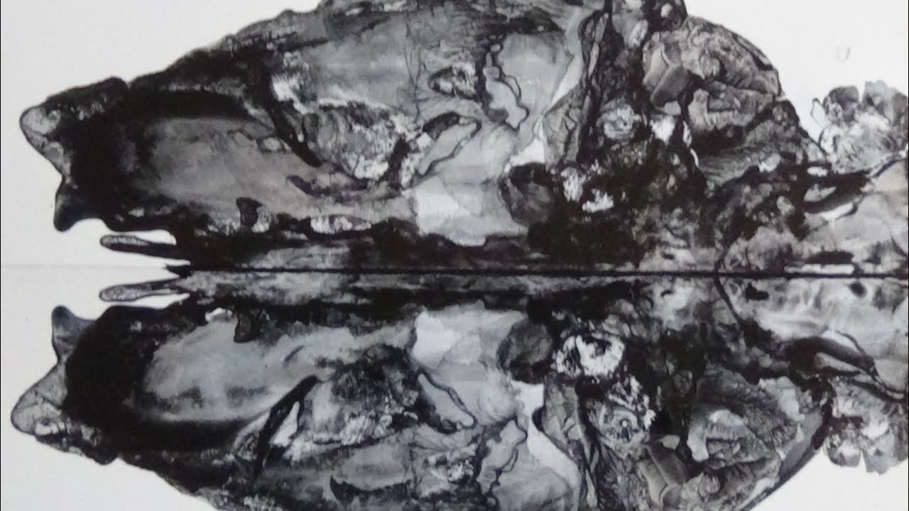 Ink Blot Tutorial Part 1