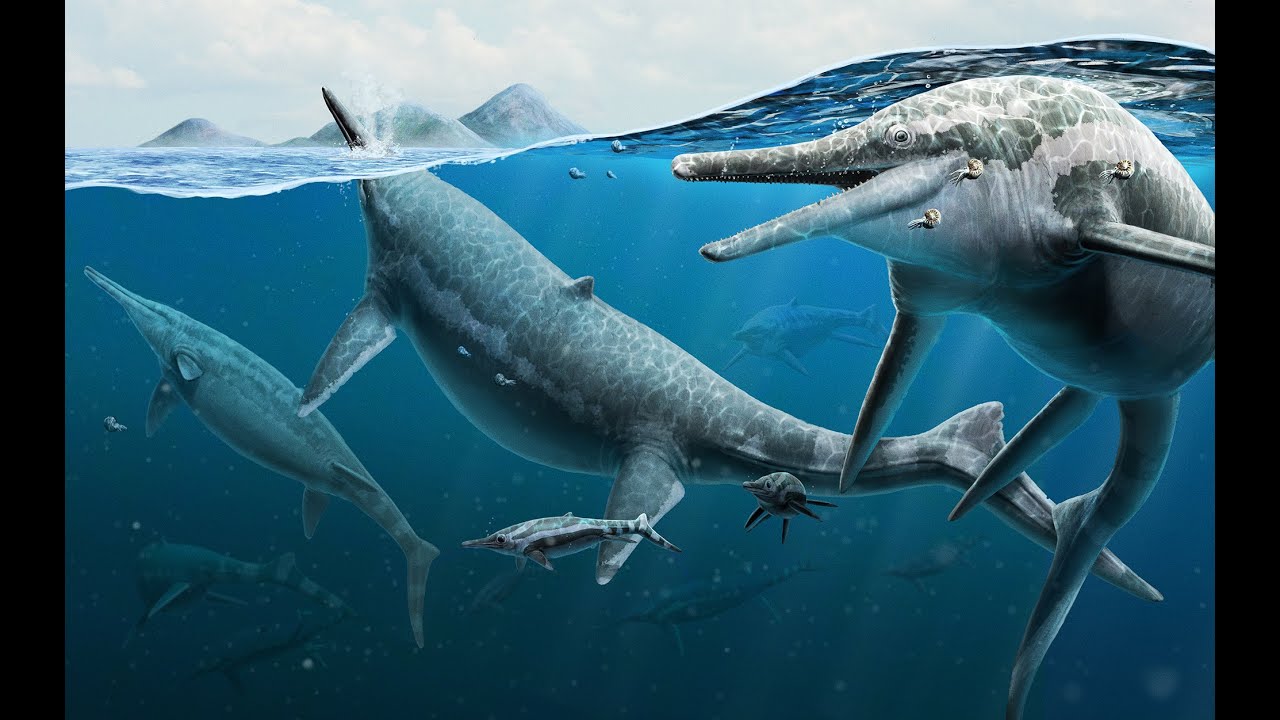 New Research Announced on Shonisaurus popularis