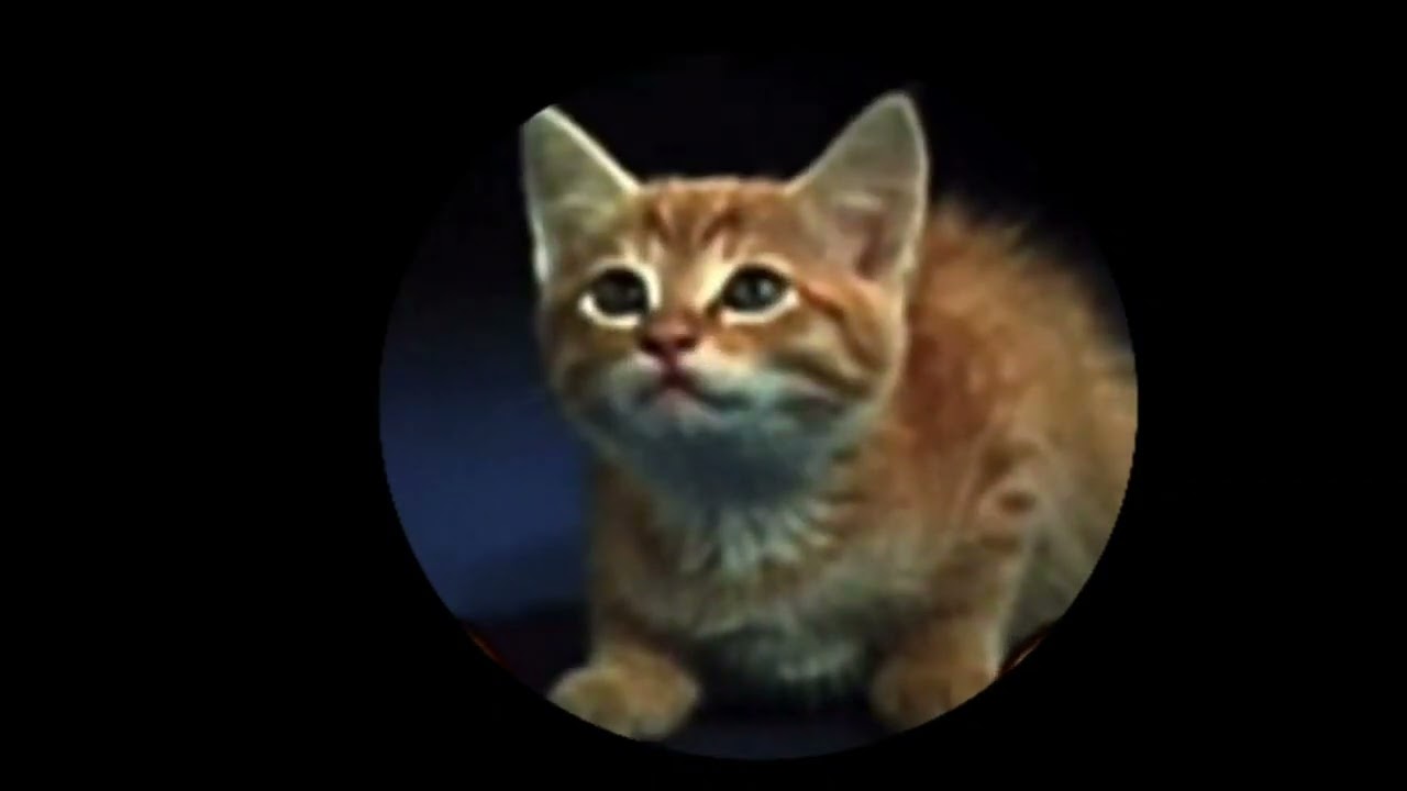 MTM Enterprises Inc Mimsie The Cat Footage V3