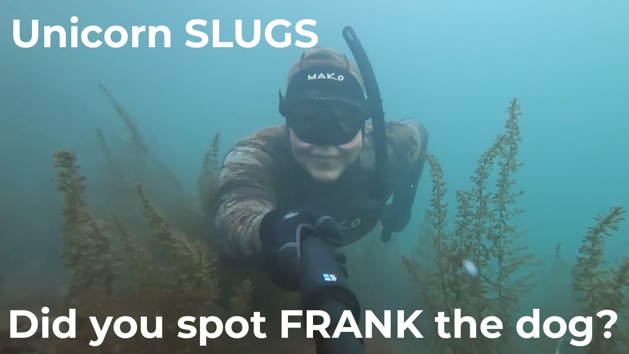 Relaxing underwater ASMR ft cameo by Frank the dog
