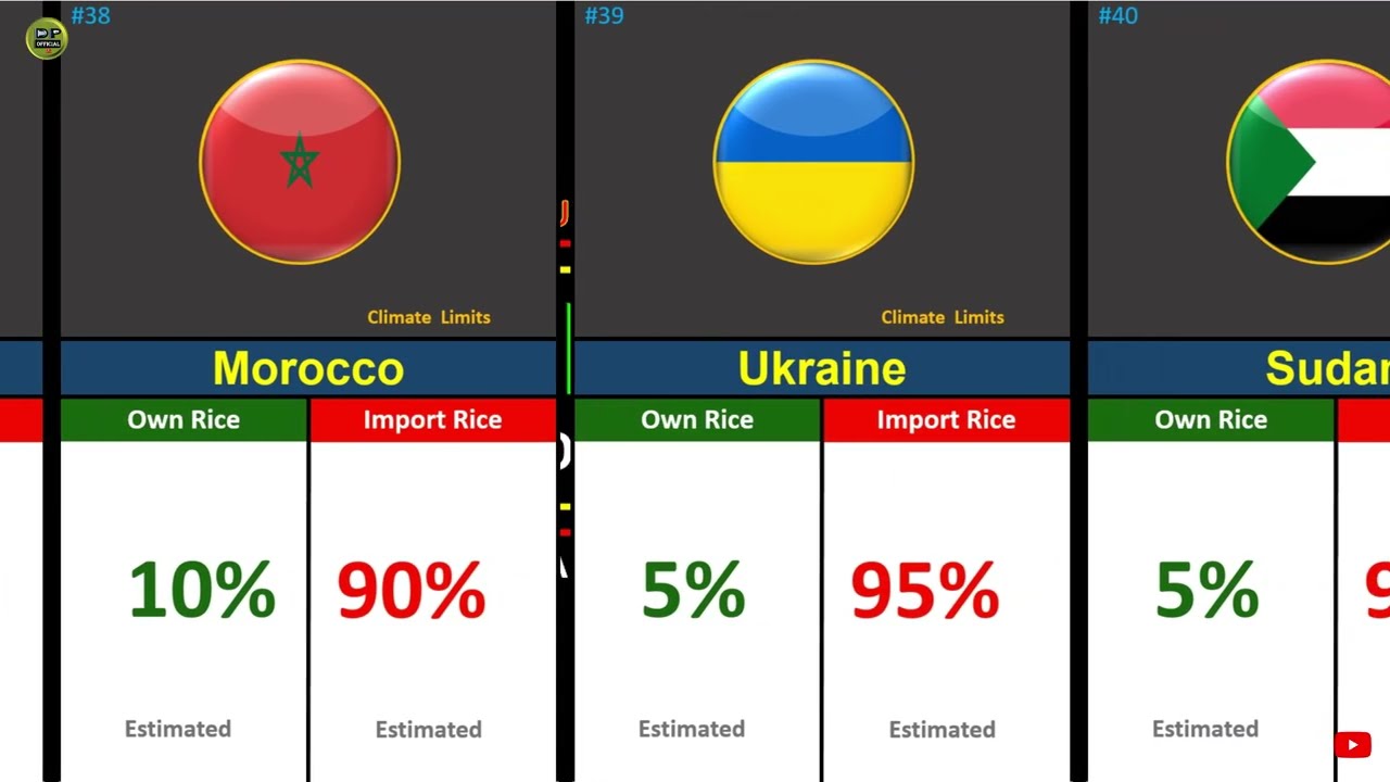 Top 52 Rice Producing 𝘃𝘀 Importing Countries 2026 |Global Rank 