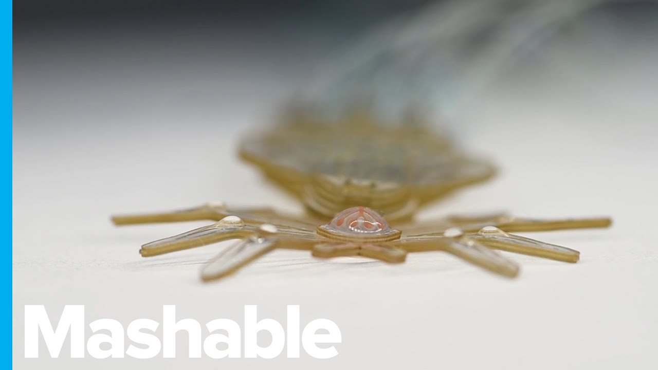 This Tiny Robotic Spider Might One Day Perform Surgeries Inside Your Body