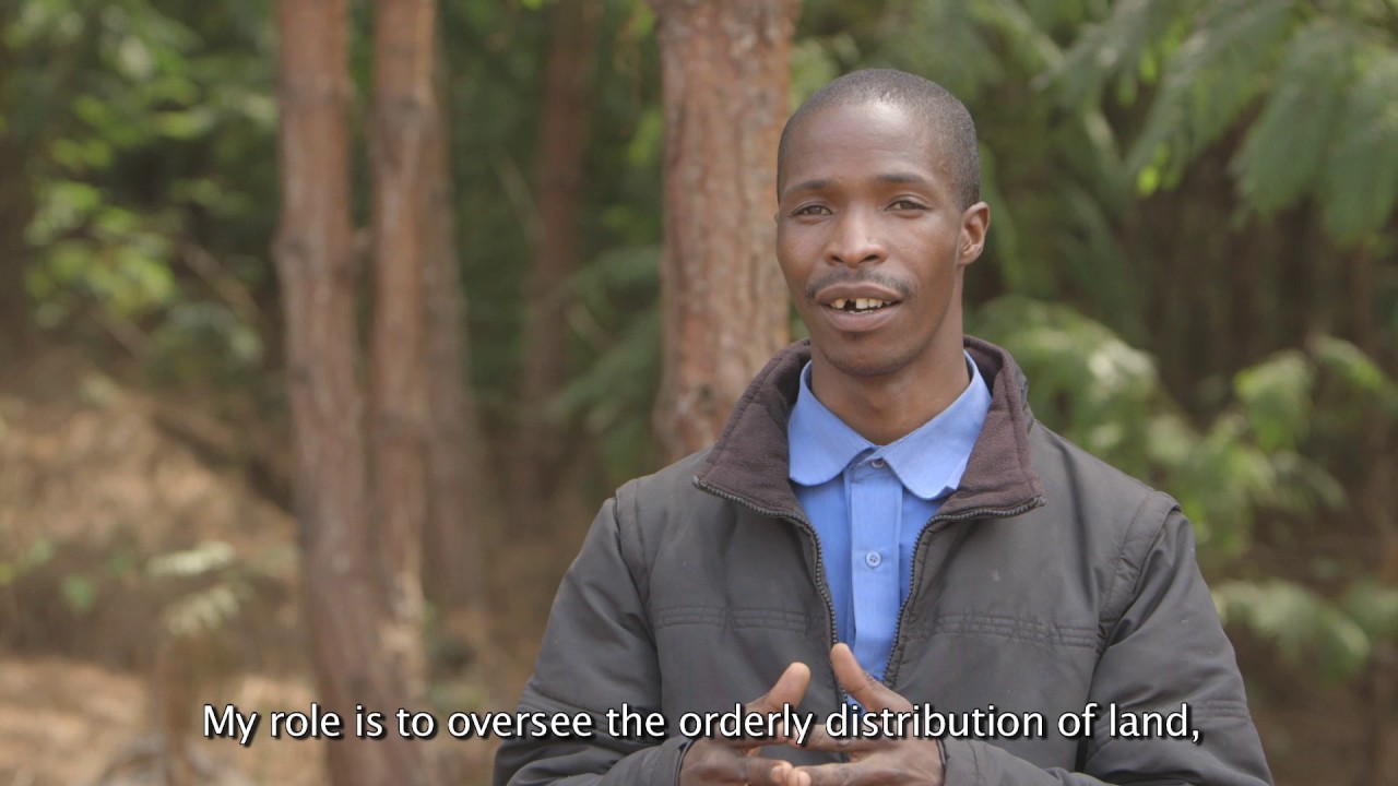 Fertile Grounds for Investment in Forestry in Tanzania