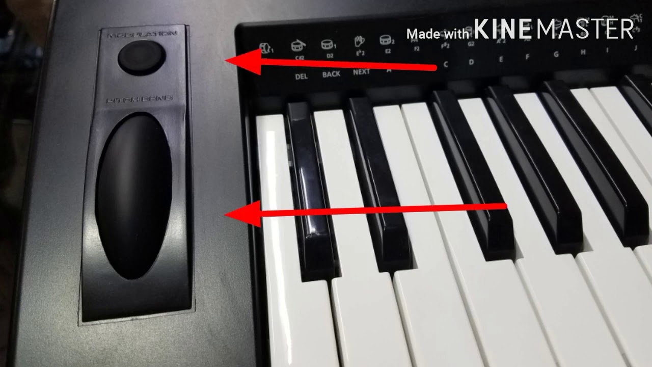 KP200 Kurzweil
