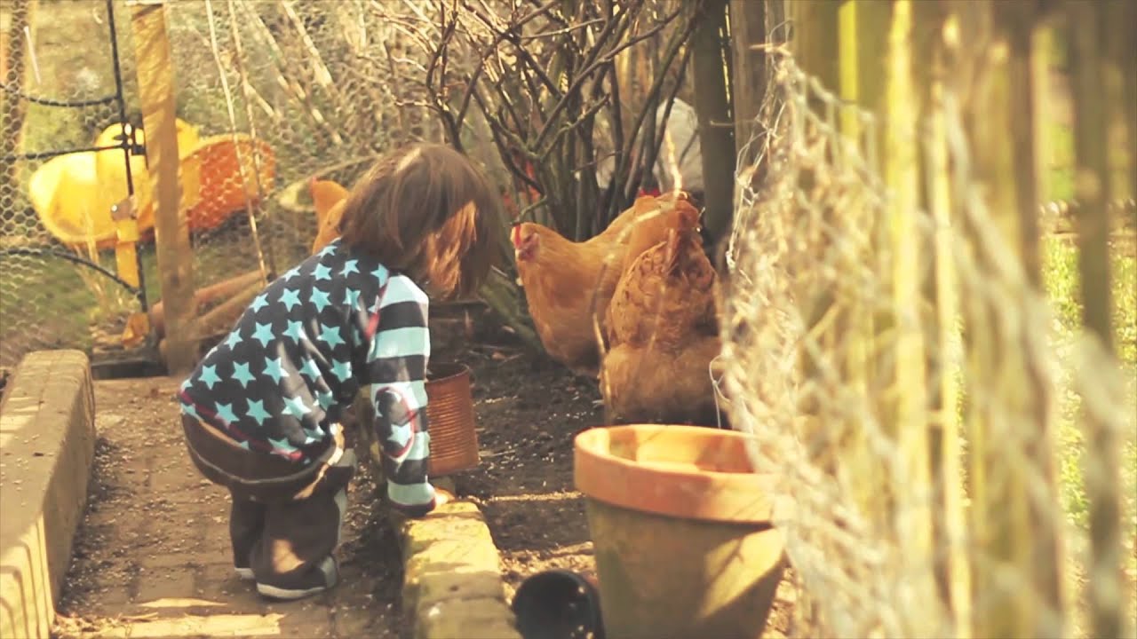 What is Transition Town Cheltenham?