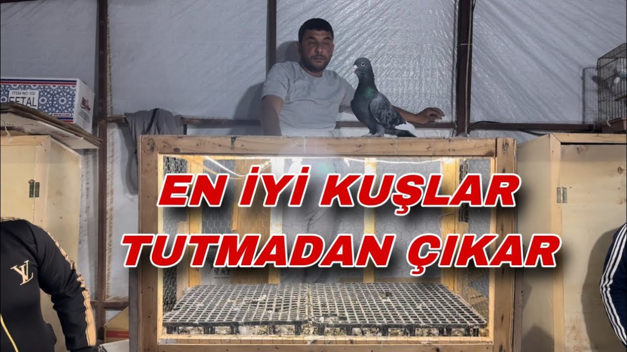 İHALEDEKİ KUŞLAR GECEYE DAMGA VURDU !!!