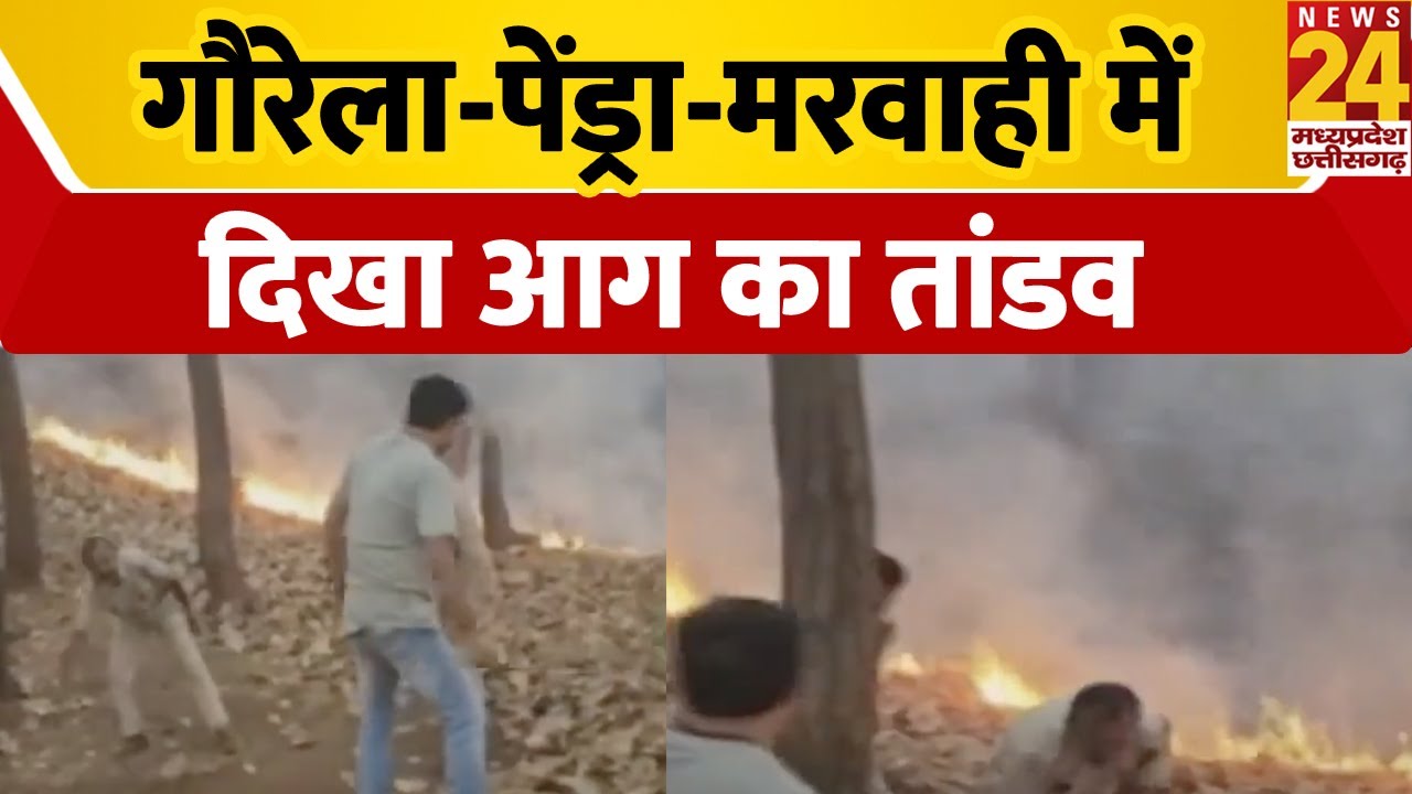 Fire In Forest: गौरेला-पेंड्रा-मरवाही में दिखा आग का तांडव | Hindi News