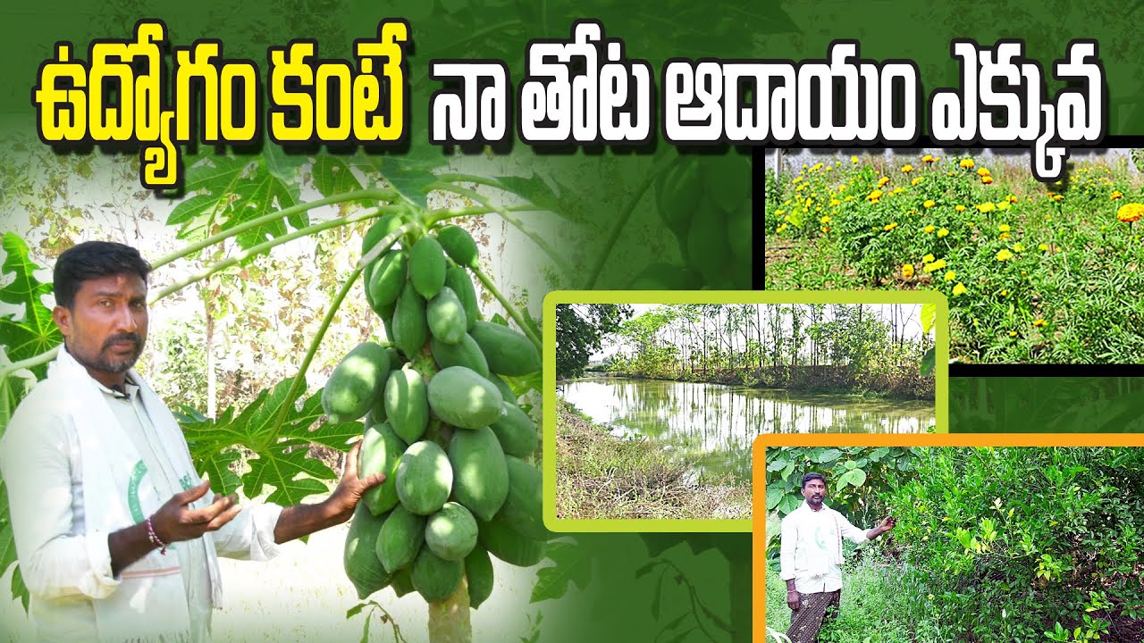 Интегрированное натуральное земледелие | Идеальный сад площадью десять акров | Все культуры на од...