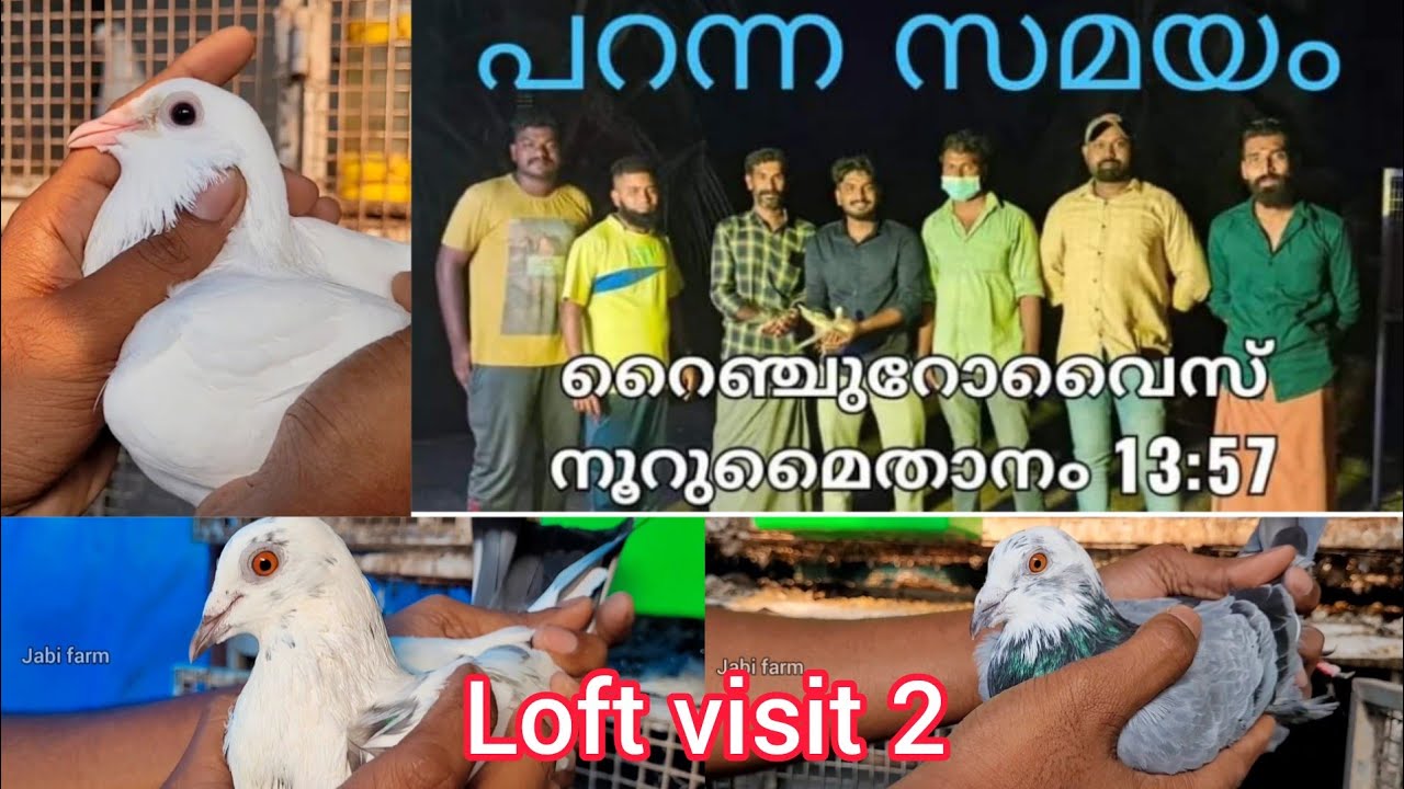 ഈ പറവ മൂന്നുവർഷം പ്രൈസ് വാങ്ങിത്തന്നു#Rangerovers noormaithanam#parava pigeon