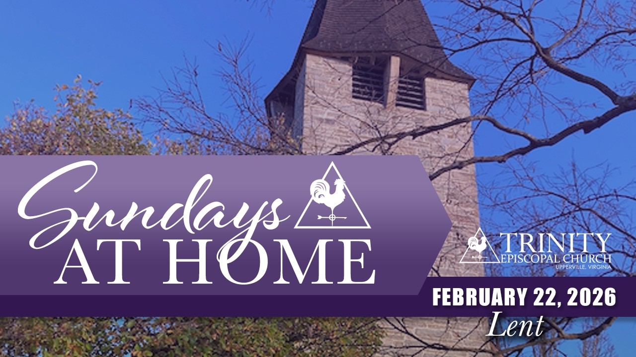 Sundays at Home - February 22, 2026 - Lent