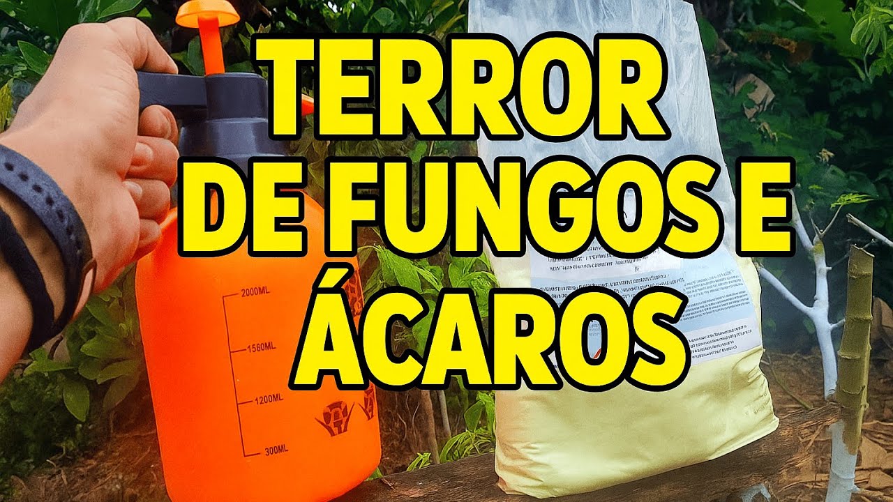 O ENXOFRE que antes boiava na água agora AFUNDA!