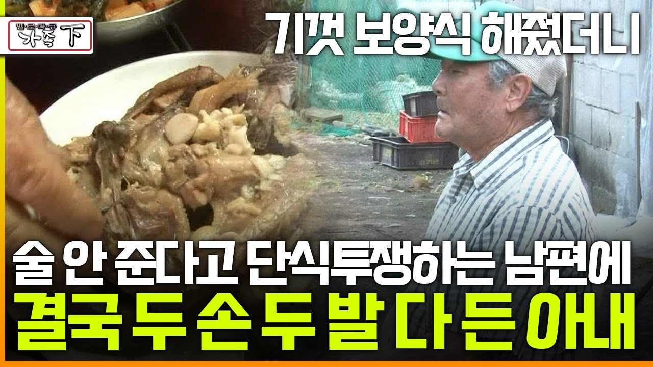 [멜로다큐 '가족' 282회 下] 기껏 보양식 해줬더니 술 안 준다고 떼쓰며 단식투쟁하는 81살 남편에 결국 두 손 두 발 다 든 아내