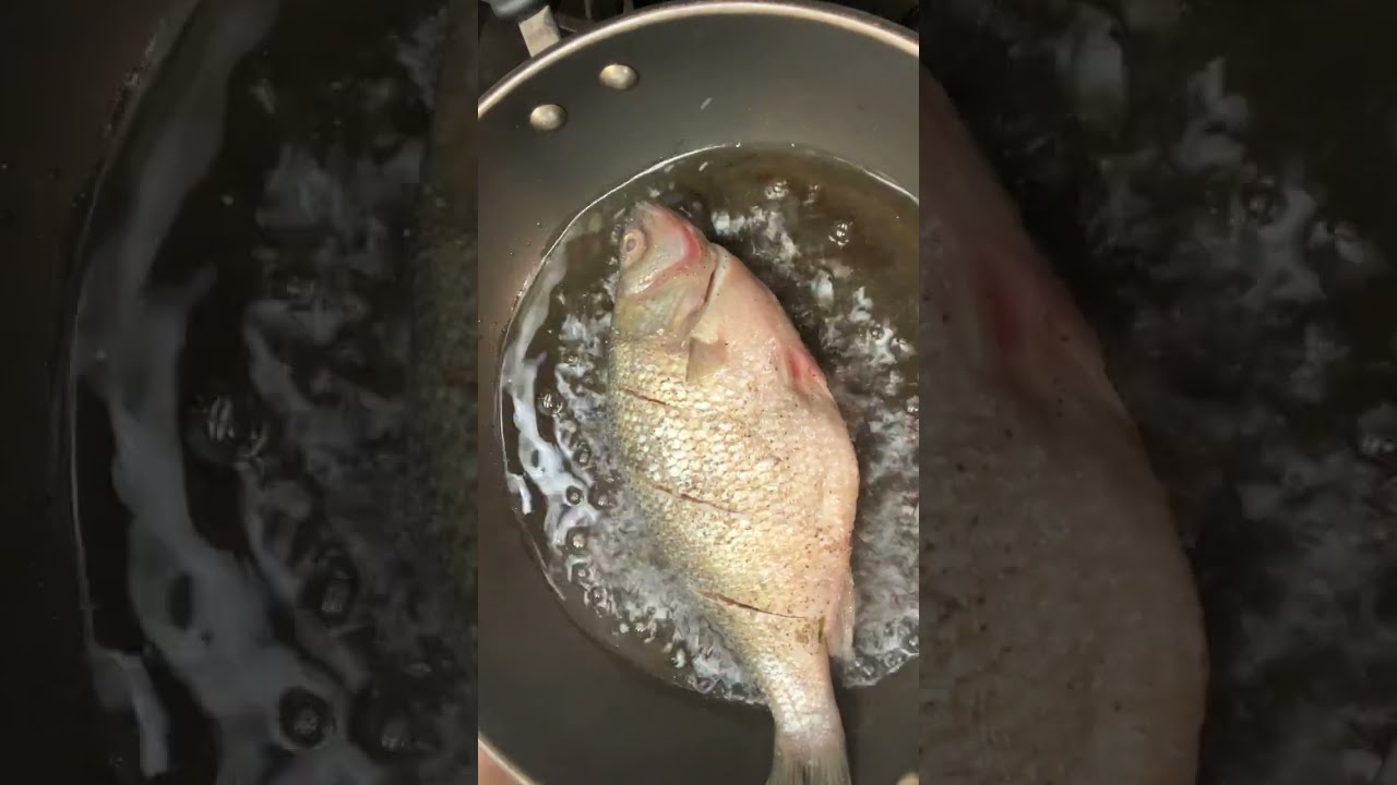 Avoid oil splatter when frying. #shorts