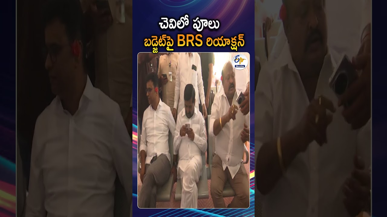 BRS MLAs Kamalakar And Vivekananda Tuck Flowers Behind Ears In Unique Budget Protest