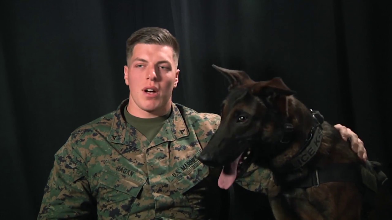 Marines and their Military Working Dogs