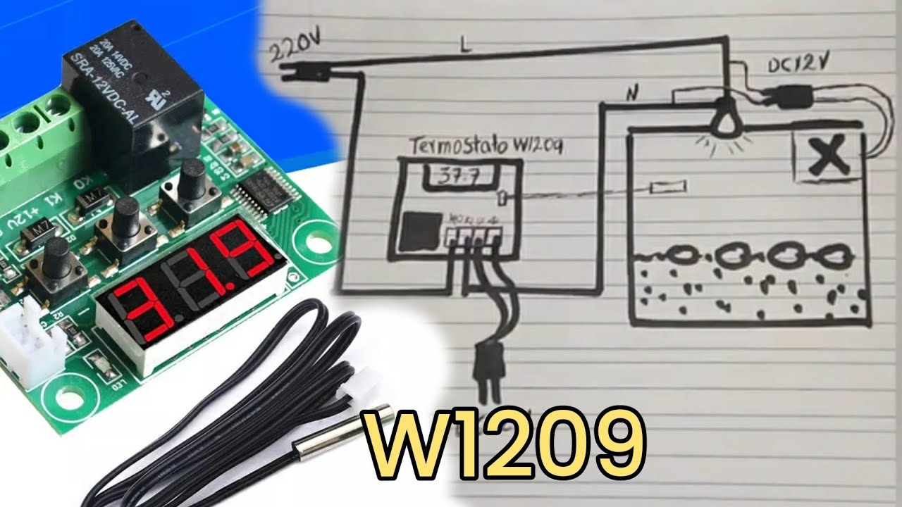 como conectar ventilador y bombillo al termostato w1209 incubadoras #chicken #granja #incubator