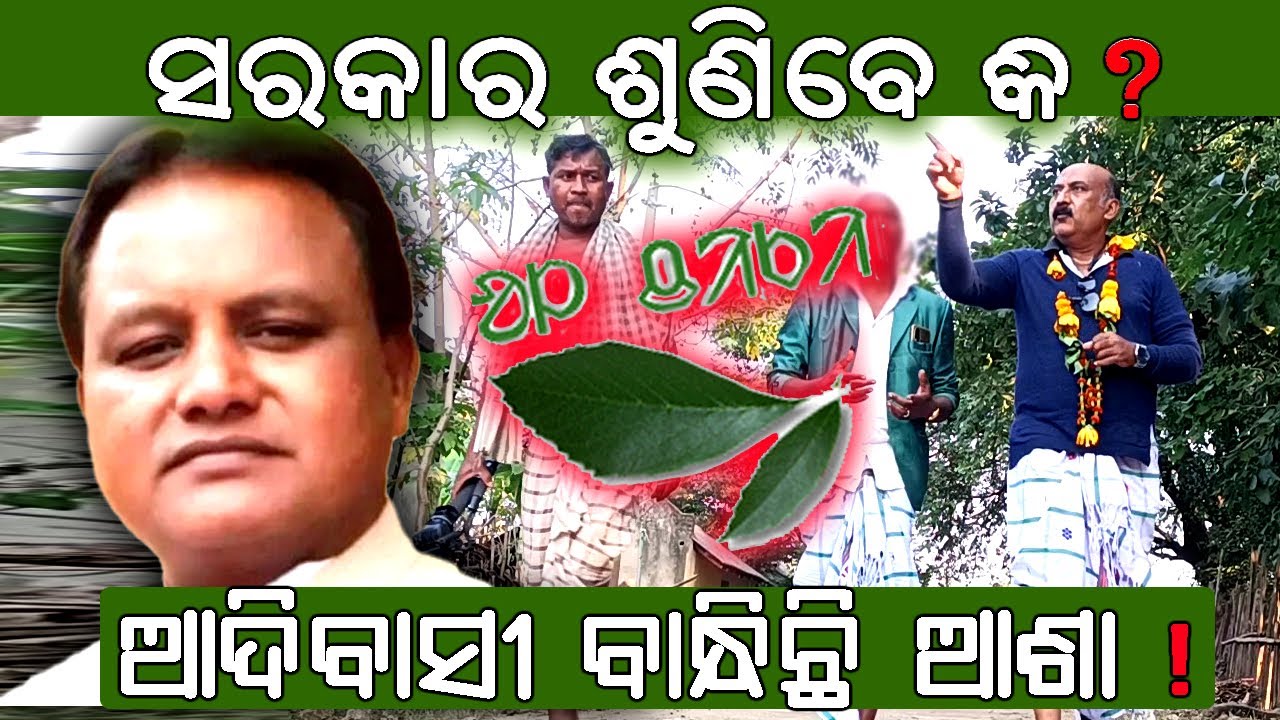 SAVE OL_CHIKI !! ସରକାର ଶୁଣିବେ କି  ? ଆଶା ବାନ୍ଧି ବସିଛି ଖେରୱାଲ !! #odishasarkar