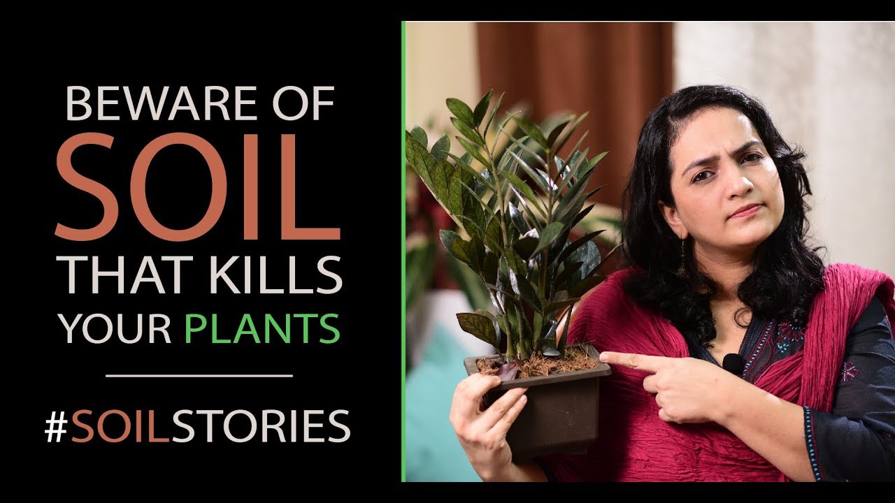 Is Your Soil Killing Your Plant? | Soil Stories