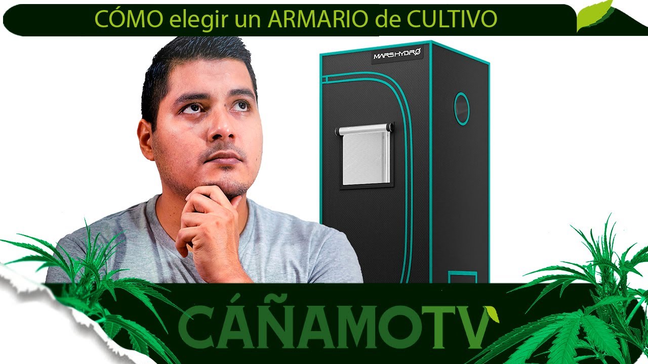&iquest;C&oacute;mo ELEGIR correctamente mi ARMARIO de CULTIVO INDOOR? 👌 MARS HYDRO GROW TENT
