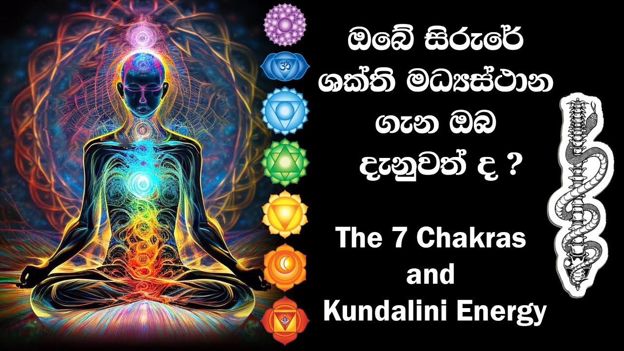 මිනිස් සිරුරේ චක්‍රා ⚕🌈🪷 7 Chakras & Kundalini Energy #sinhala #kundalini #chakras #loa