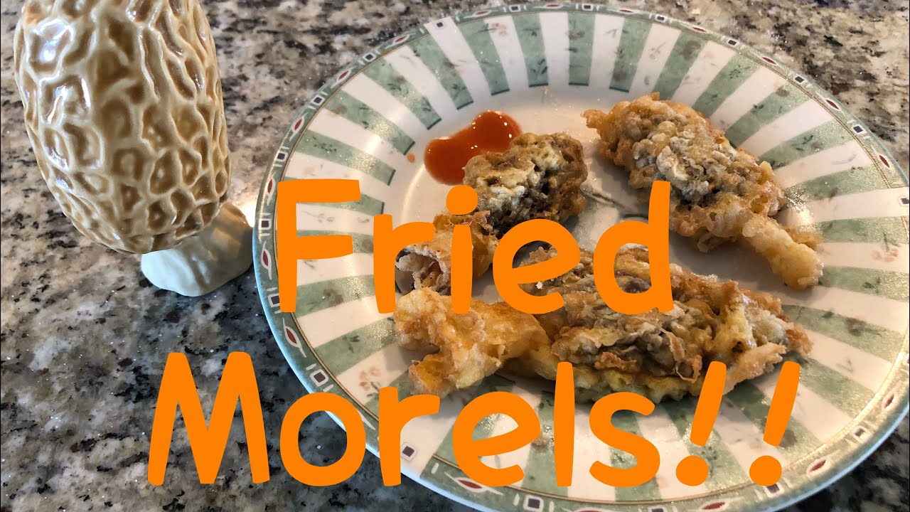Fried Morels!