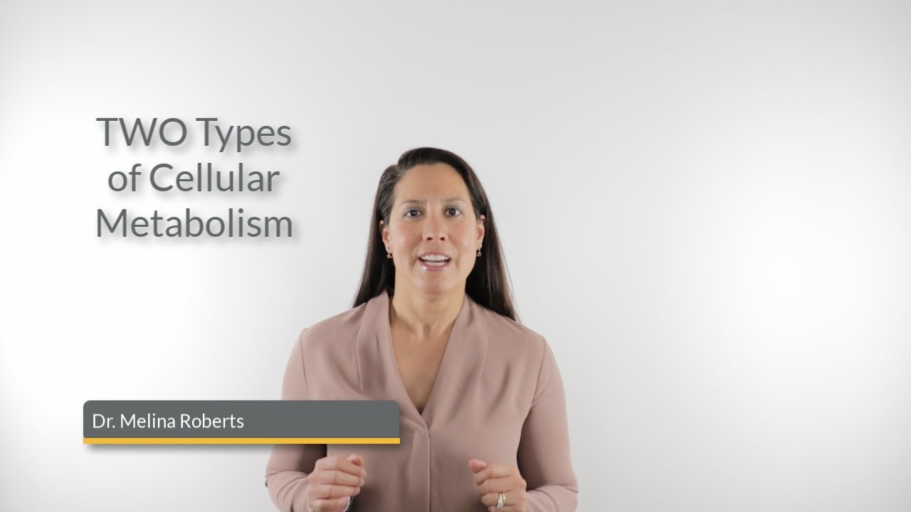 TWO Types of Cellular Metabolism