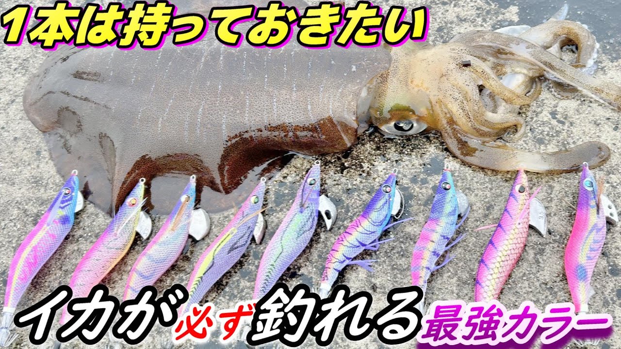 えっ？日本中で釣れるカラーもってないの？現代エギンガー必須の爆釣エギでアオリイカエギング